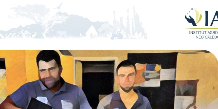 Affiche rapport d'actualité