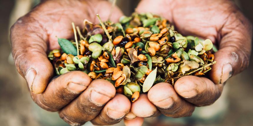 Agroécologie, santé et alimentation