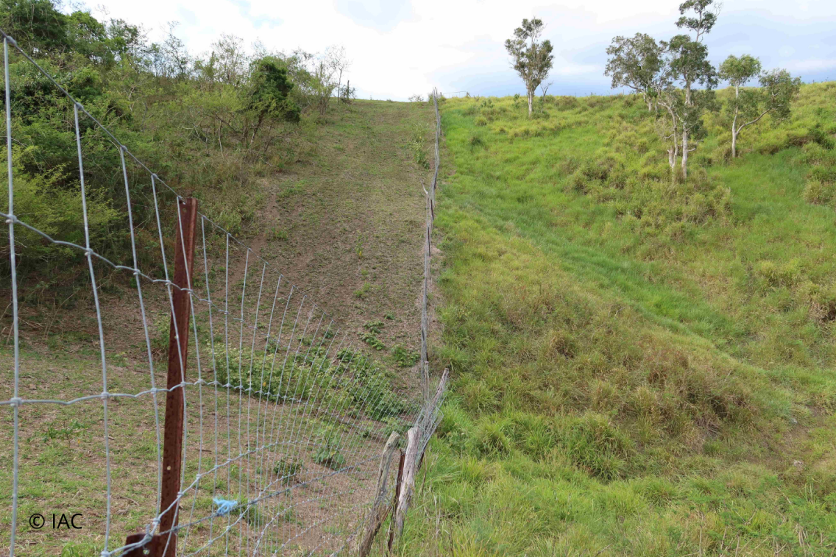 Deux exploitations agricoles limitrophes, à gauche avec un pâturage surexploité et à droite avec un pâturage bien géré de qualité © IAC