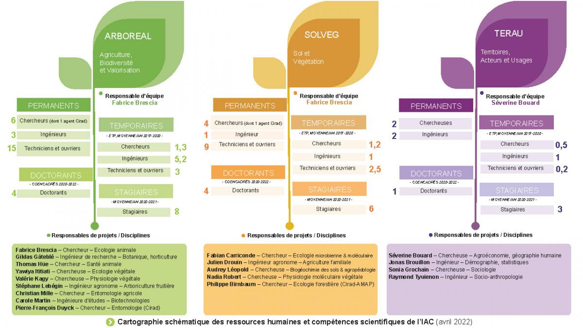 organigramme-equipes